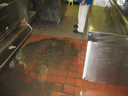 Grease Trap Overflow