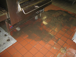 Grease Trap Chemicals