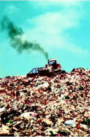 Grease Interceptor Landfill