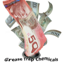 Grease Trap Bacterias